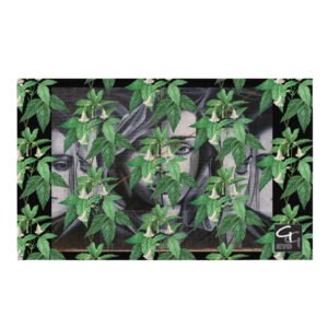 GermanGuideNYC Williamsburg Fahne